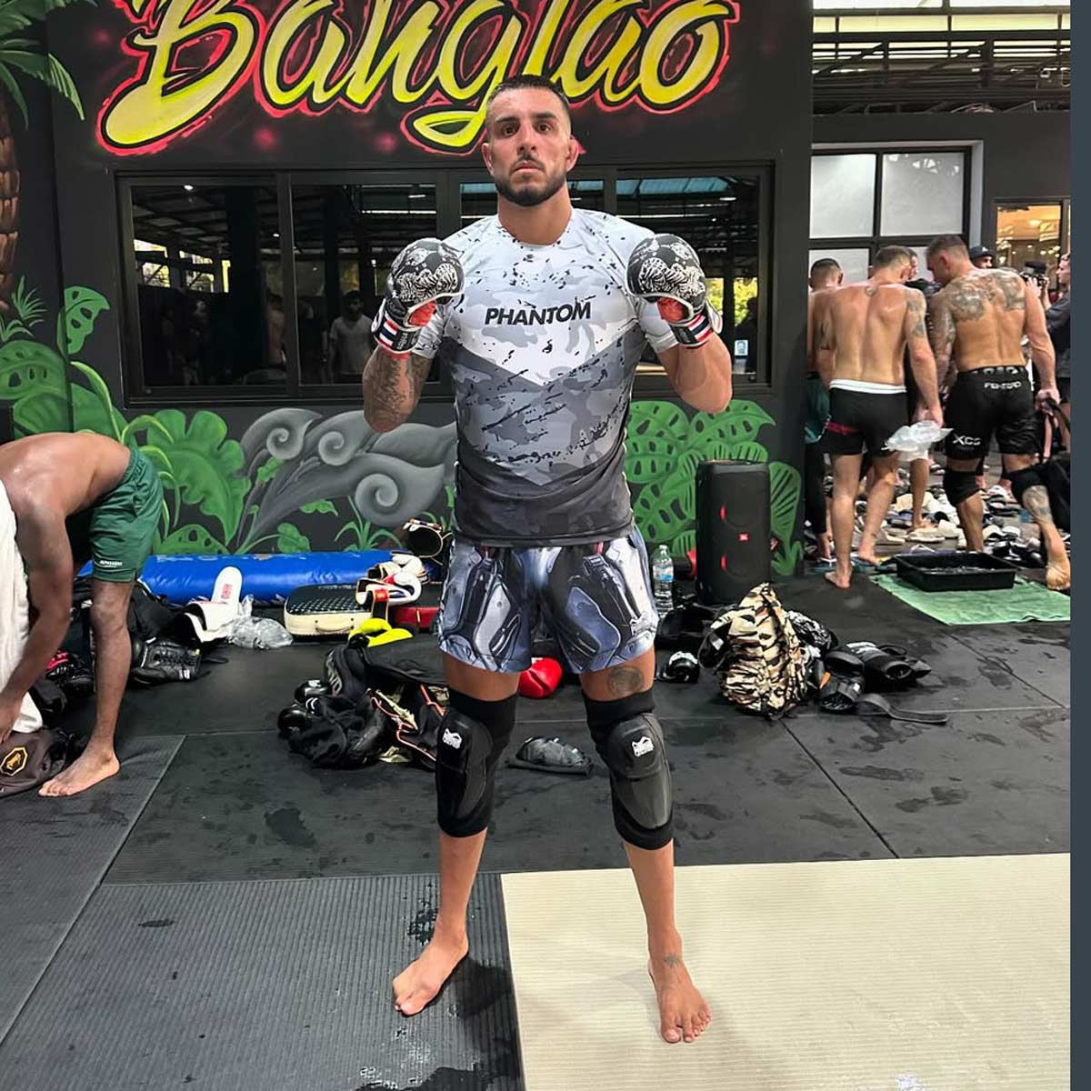 Sparring Handschuhe Muay Thai - Limited Silver Edition – Image 5