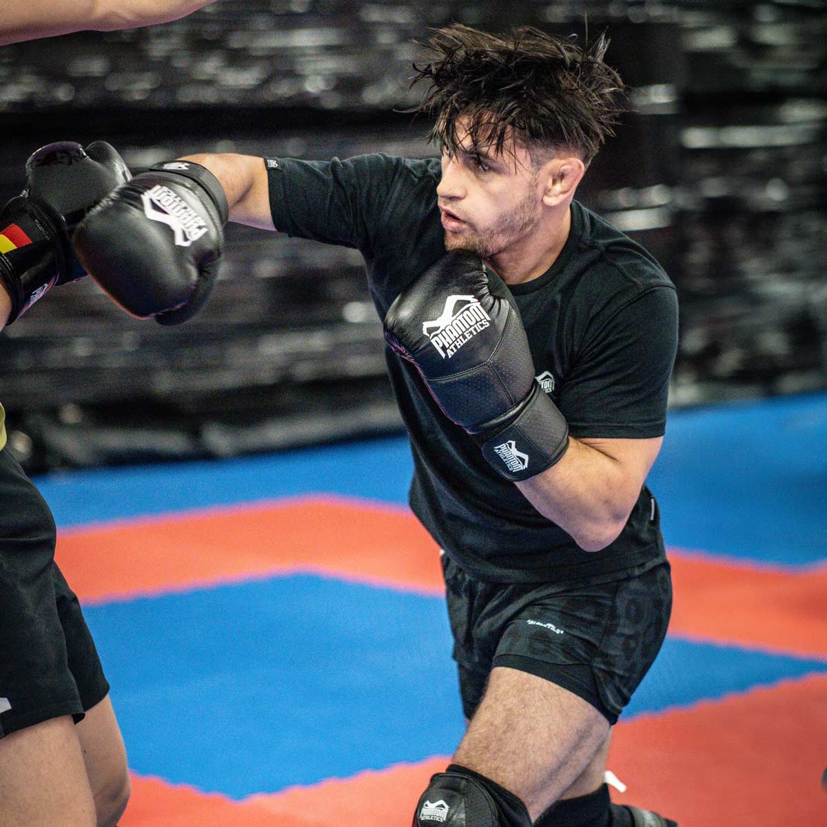 Fightshorts FUSION Panther - Schwarz – Image 6