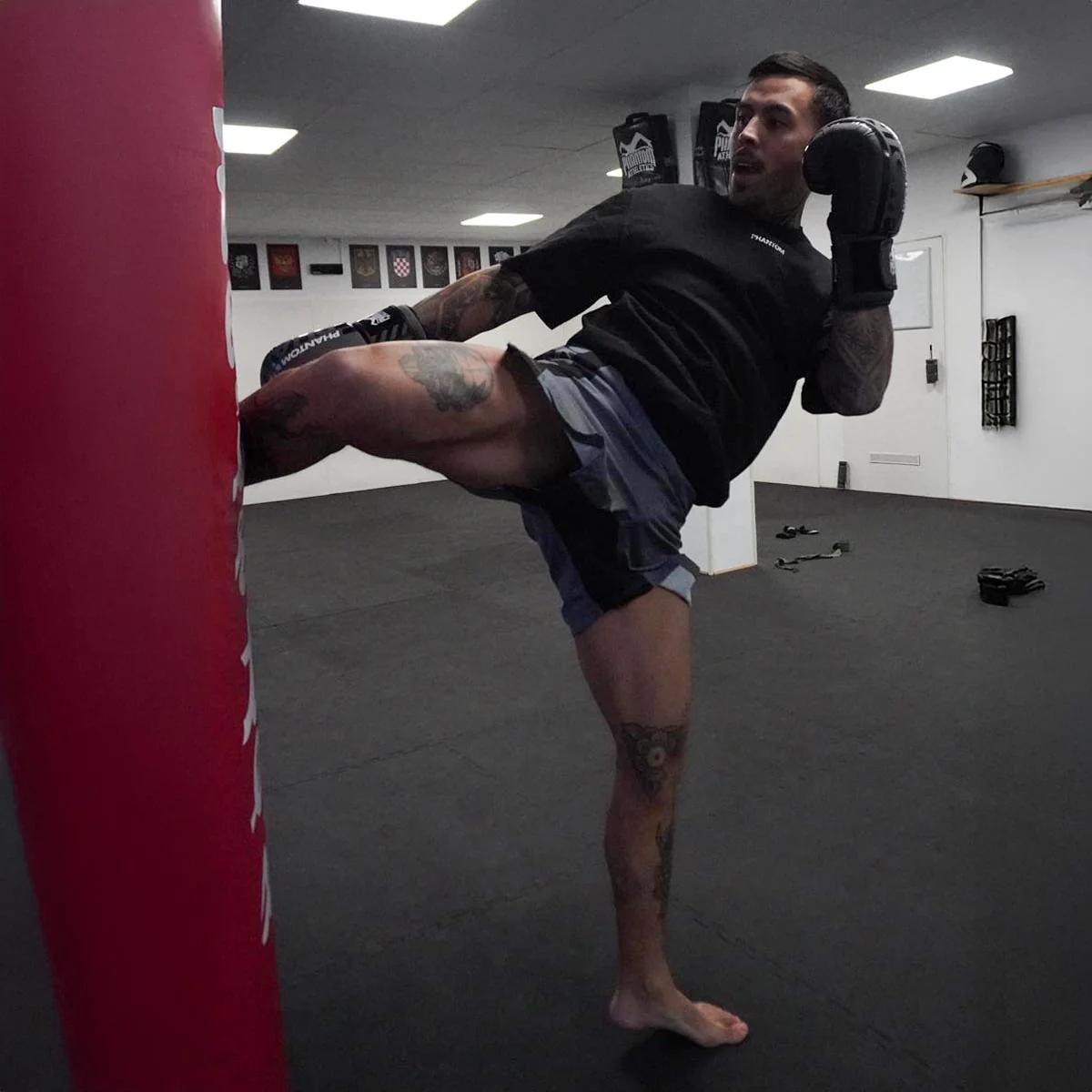 Fightshorts EVO Apex - Grau – Image 9