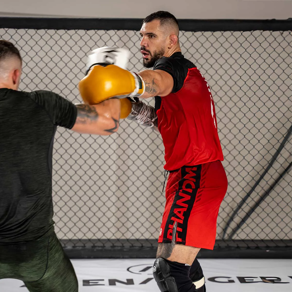 Fightshorts EVO Apex - RED – Image 8