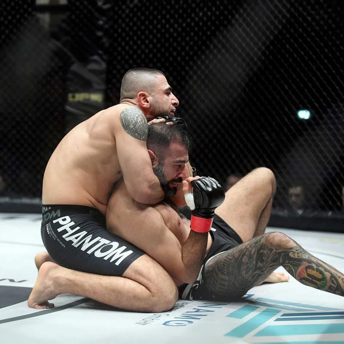 Fightshorts VECTOR - Team – Image 7