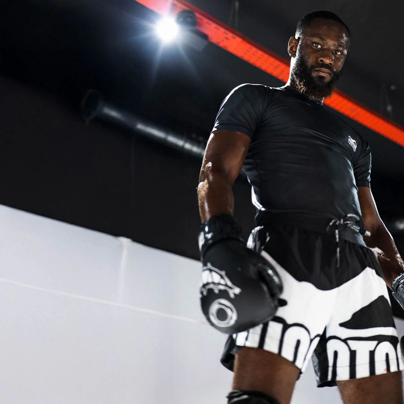 Boxhandschuhe Serious – Image 8