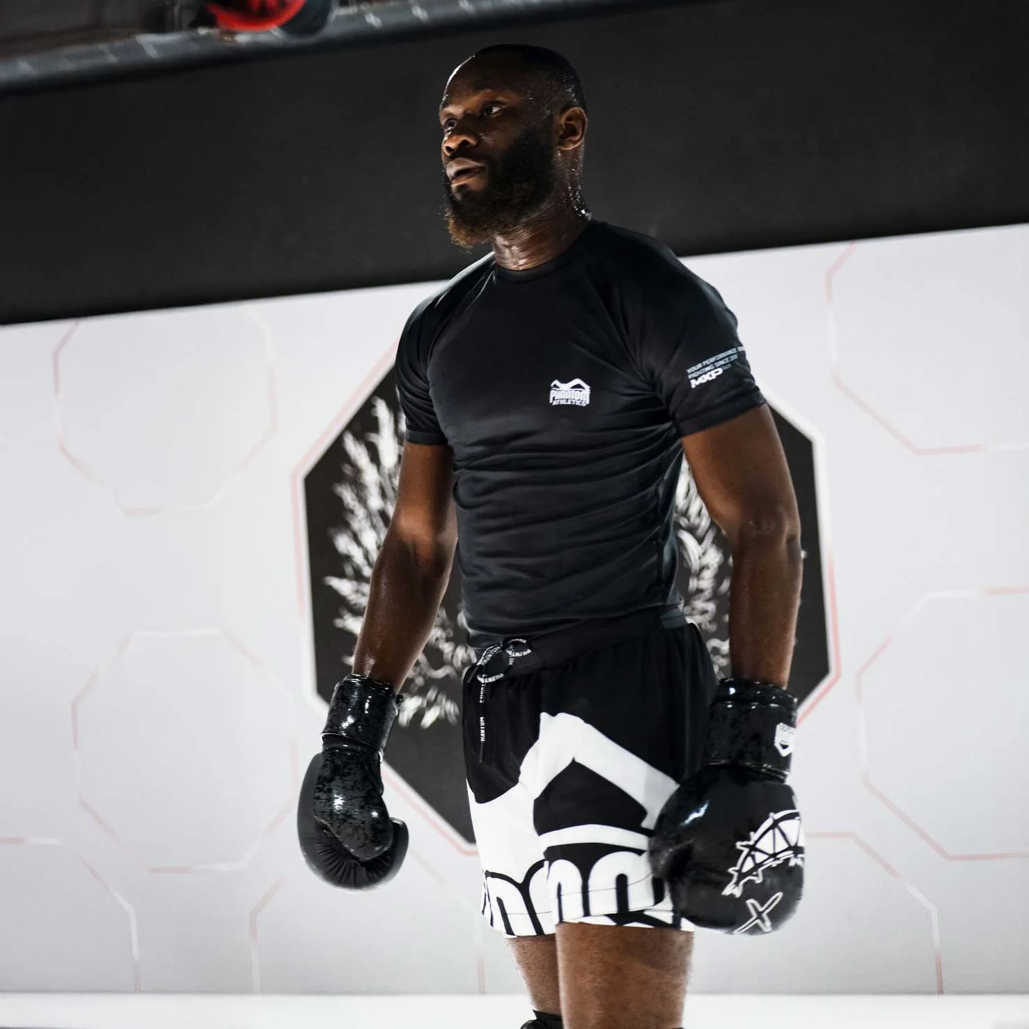 Boxhandschuhe Serious – Image 3