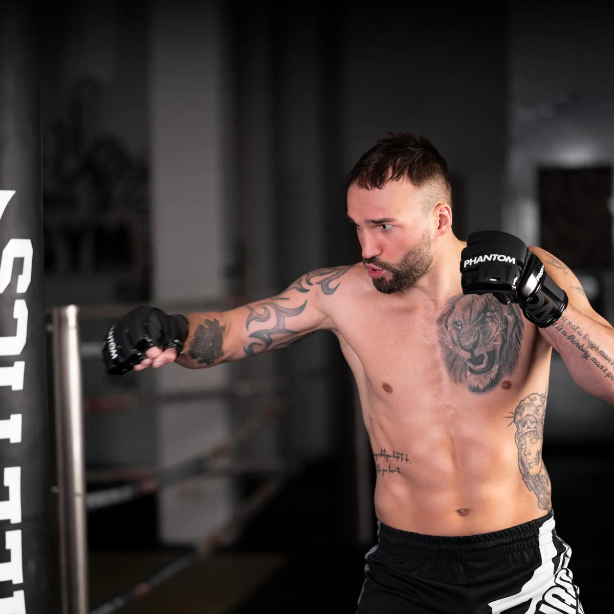 MMA Hybrid Handschuhe APEX – Image 6