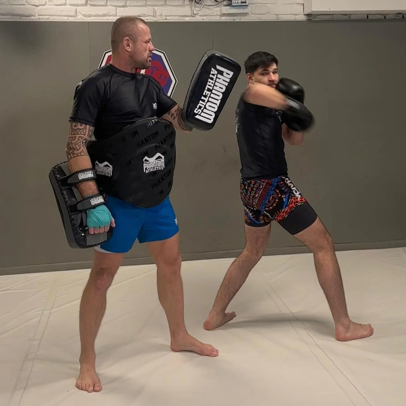 Kick Pads High Performance – Image 6