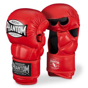 MMA Sparring Handschuhe Mexico - Rot