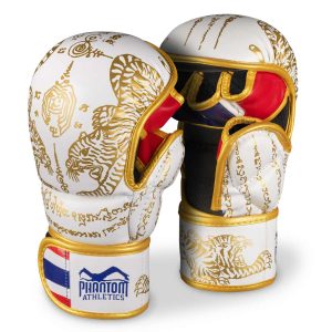 Sparring Handschuhe Muay Thai - Limited Edition