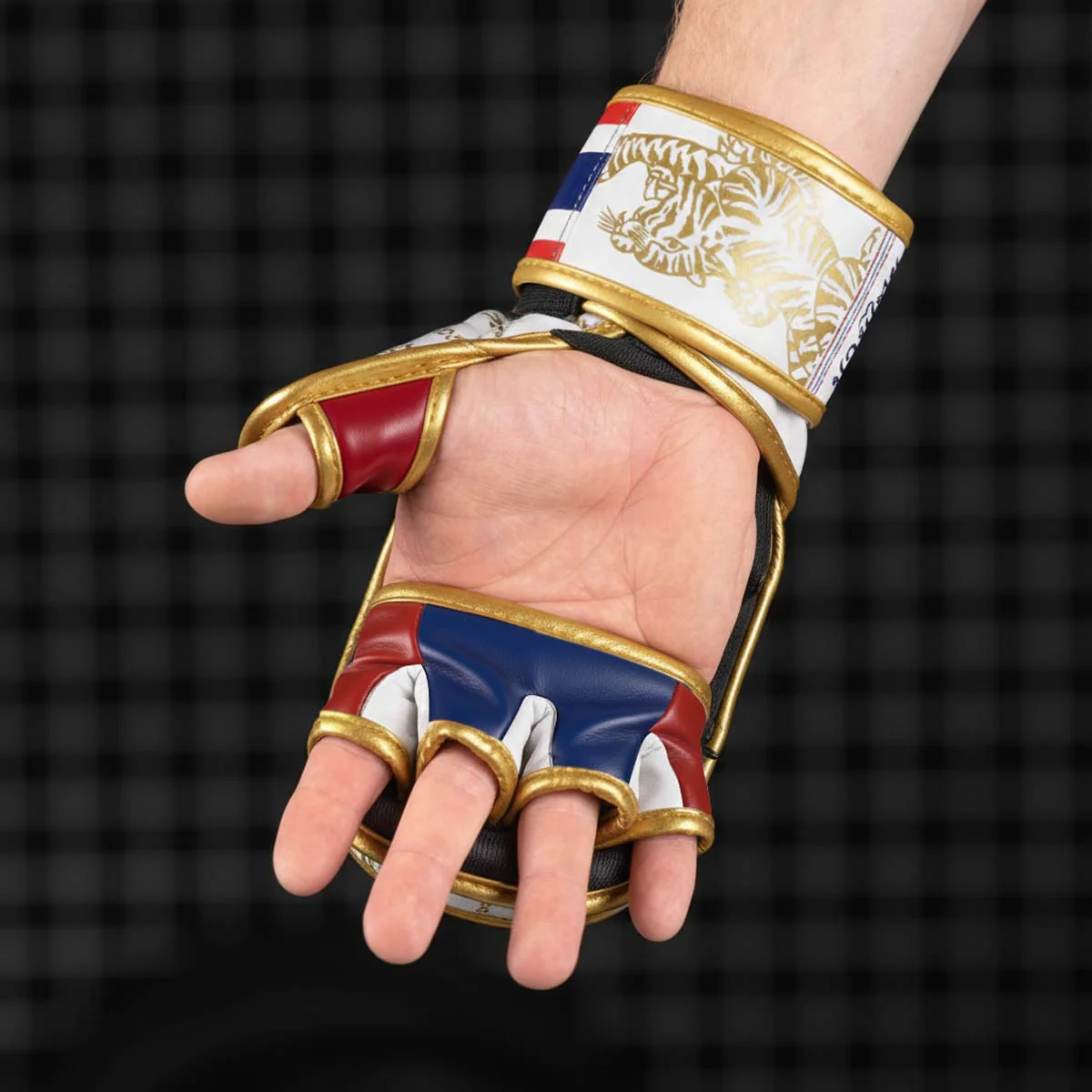 Sparring Handschuhe Muay Thai - Limited Edition – Image 8