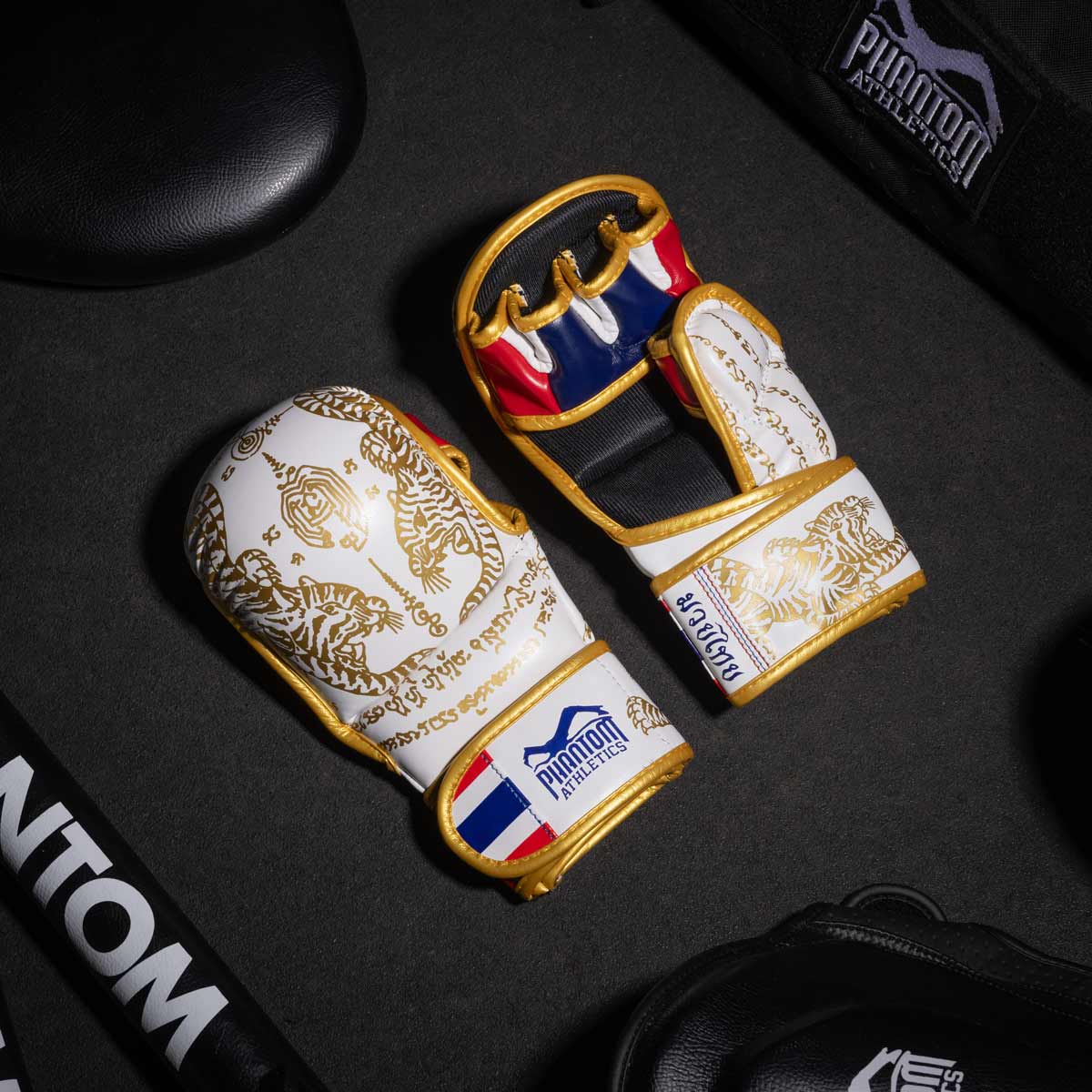 Sparring Handschuhe Muay Thai - Limited Edition – Image 4
