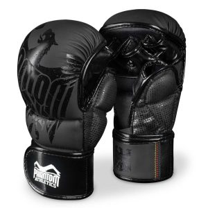 MMA Sparring Handschuhe German Eagle